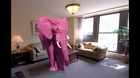 pink elephant in pink room