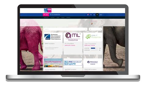 pink elephant training portal