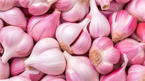 Unlocking the Secrets of Pink Garlic for Culinary Delights