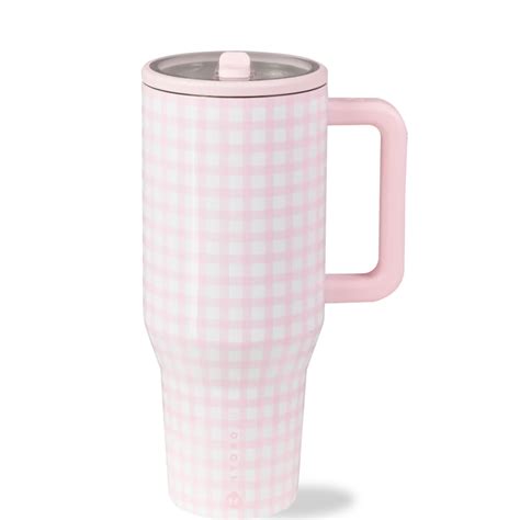 Best Pink Gingham Hydrojug for Hydration Success