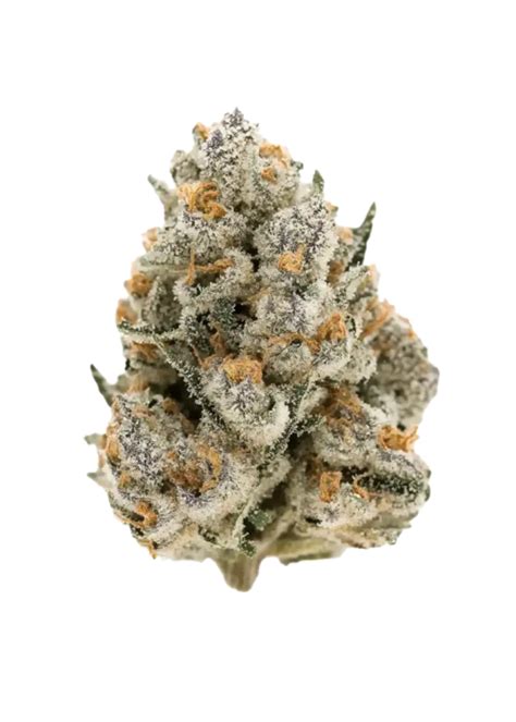 Discovering the Unique Flavors of Pink Guava Strain: An Intriguing Cannabinoid Profile