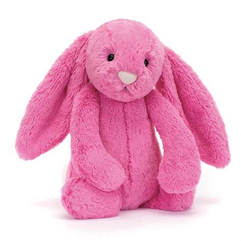 Pink Jellycat: A Colorful Treasure Hunt for Adorable Collectors