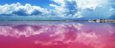 pink lagoon