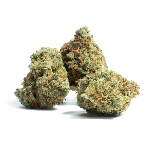 Unlock the Secrets of Pink Lemonade Strain for Top-Notch Relief