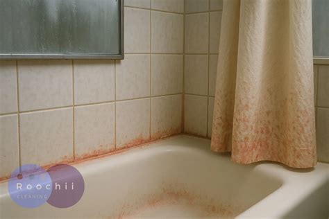 Troubleshooting Pink Mold Shower Dilemma Effectively