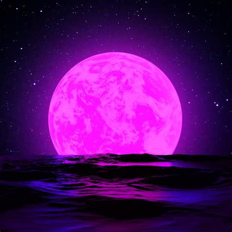 pink moon 2025