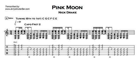 pink moon guitar lesson