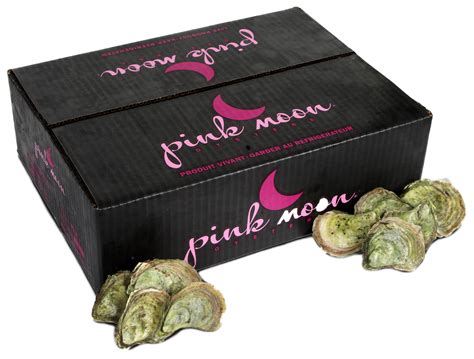 pink moon oysters buy