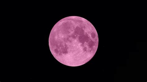 pink moon tonight 2024