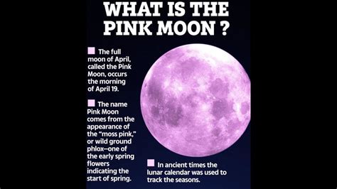 pink moon tour