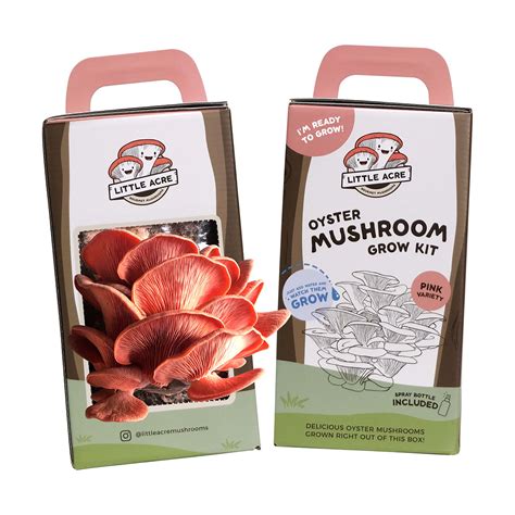 pink oyster mushroom kit
