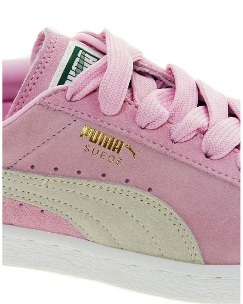 Unveiling the Enigmatic Charm of Pink Pumas