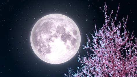 pink super moon 2020
