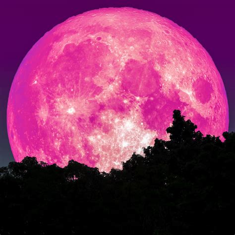 pink super moon 2023