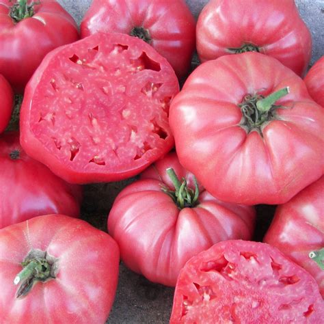Unlock the Flavor Secret Behind Pink Tomato