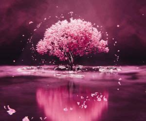 Pink Tree Live Wallpaper