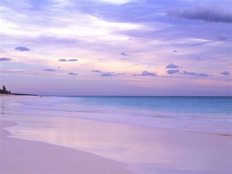 Pink Wallpaper Beach