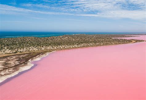 Unlocking the Mysteries of Pink Water Benefits