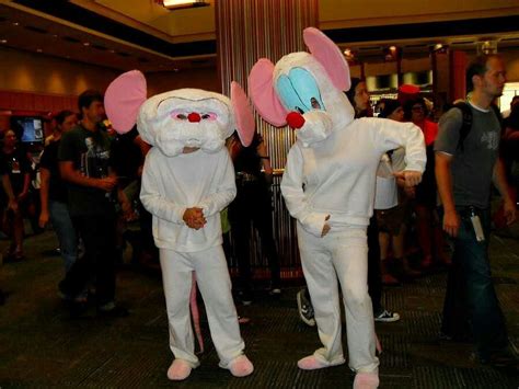 Pinky And The Brain Costume Meme Pict