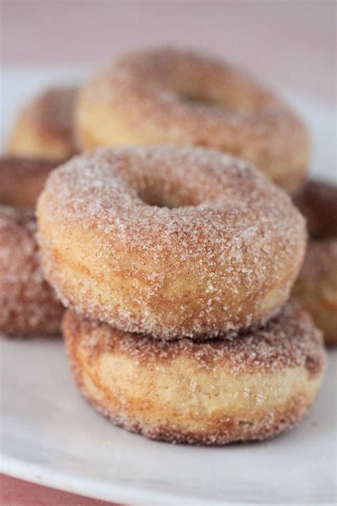Homemade Cinnamon Sugar Donuts