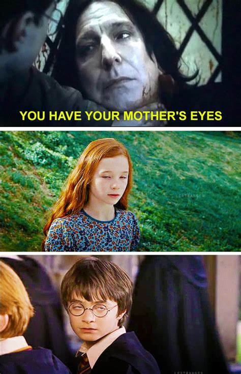 pinterest harry potter memes