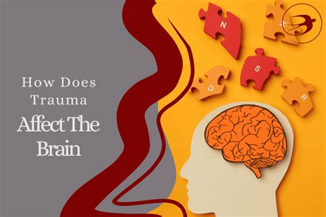 Understanding Trauma and Its Impact