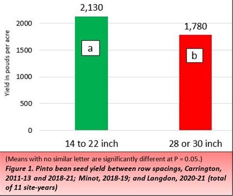 Pinto Bean Yield Per Plant
