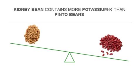 Pinto Beans And Potassium