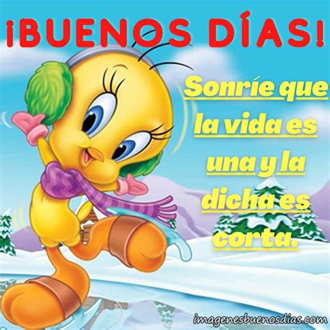 Piolin Buenos Dias