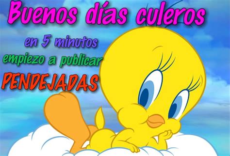 piolin grosero