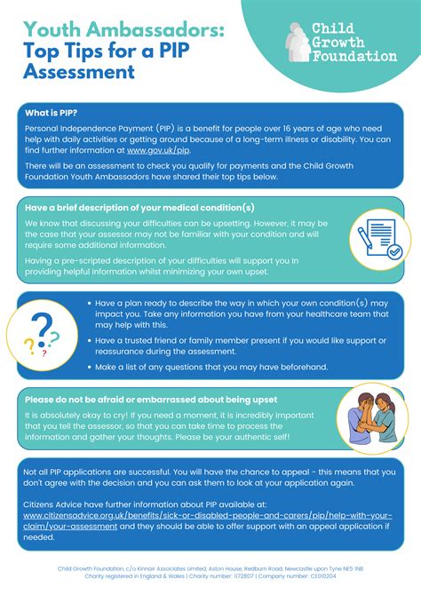 pip assessment guide