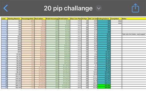 pip challenge