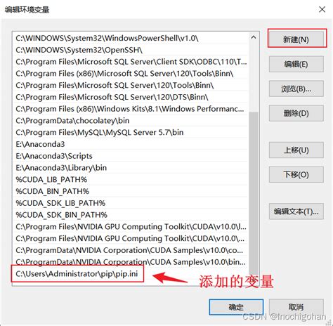 pip install pandas error could not find a version