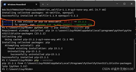 pip install pandas requests openpyxl