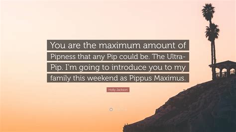 pip maximum amount