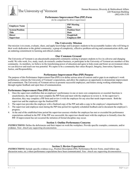 pip statement example