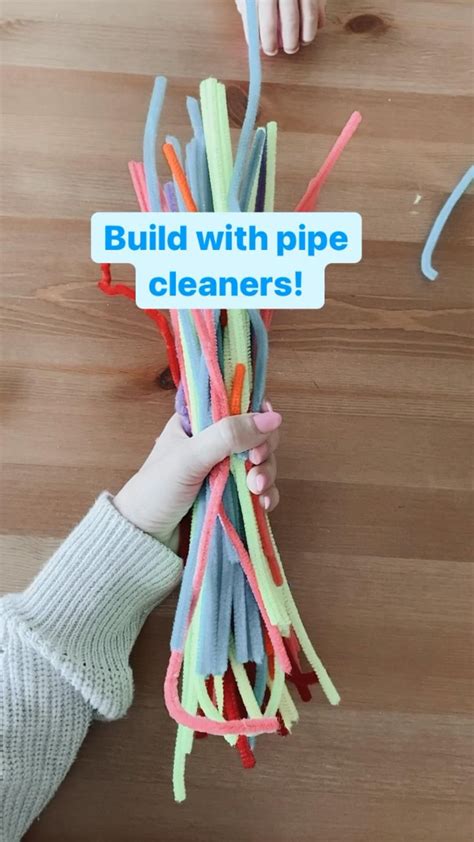 Pipe Cleaner Stem Activity