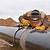pipeline rig welder jobs