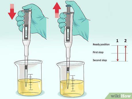 Pipetting Basics