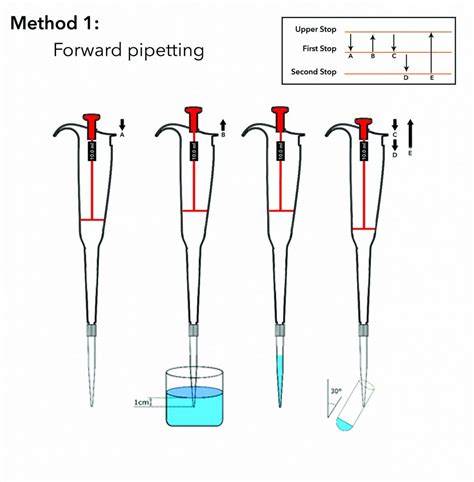 Pipetting Technique