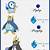 piplup evolution chart