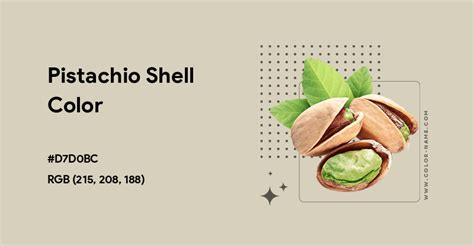 Pistachio Shell Hs Code