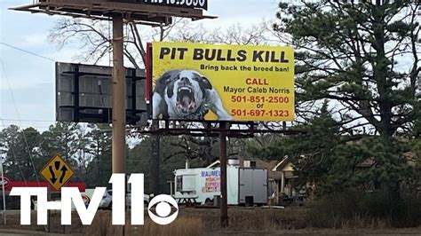 pit bull attack maumelle ar