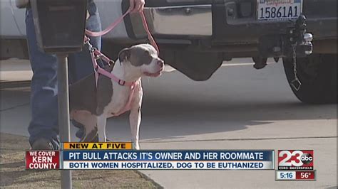 pit bull attack owner
