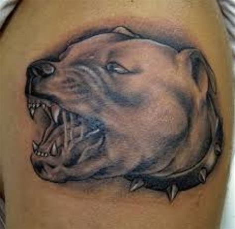 Pit Bull Tattoos