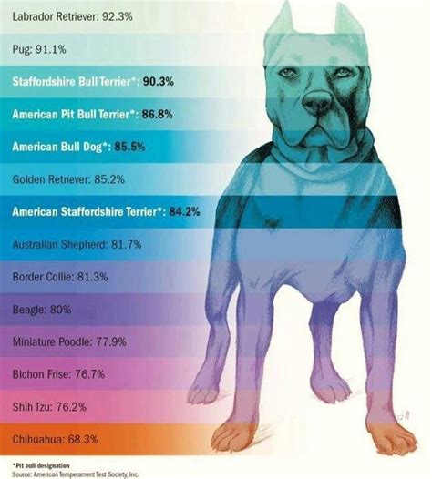 pit bull temperament test