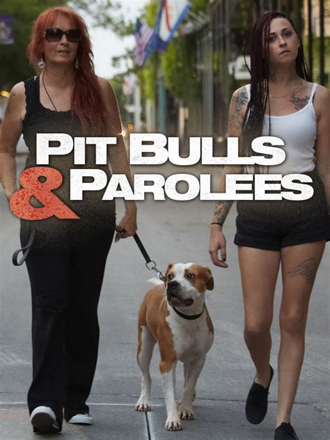 pit bulls and parolees news