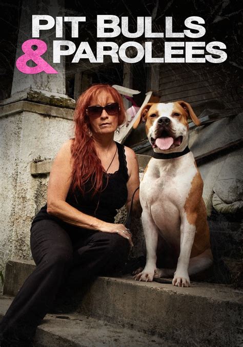 pit bulls and parolees watch online free