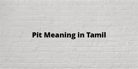 pit stop meaning in tamil with example