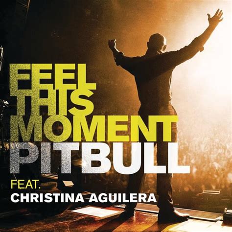 pitbull - feel this moment lyrics